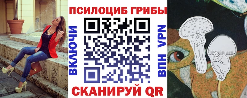 где можно купить   Качканар  Галлюциногенные грибы Psilocybine cubensis 