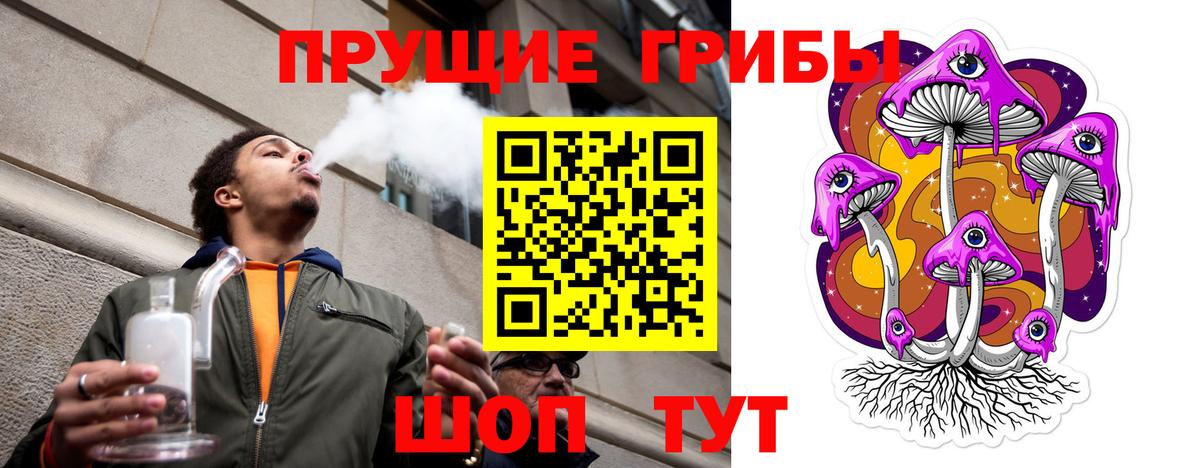 Галлюциногенные грибы Cubensis Качканар