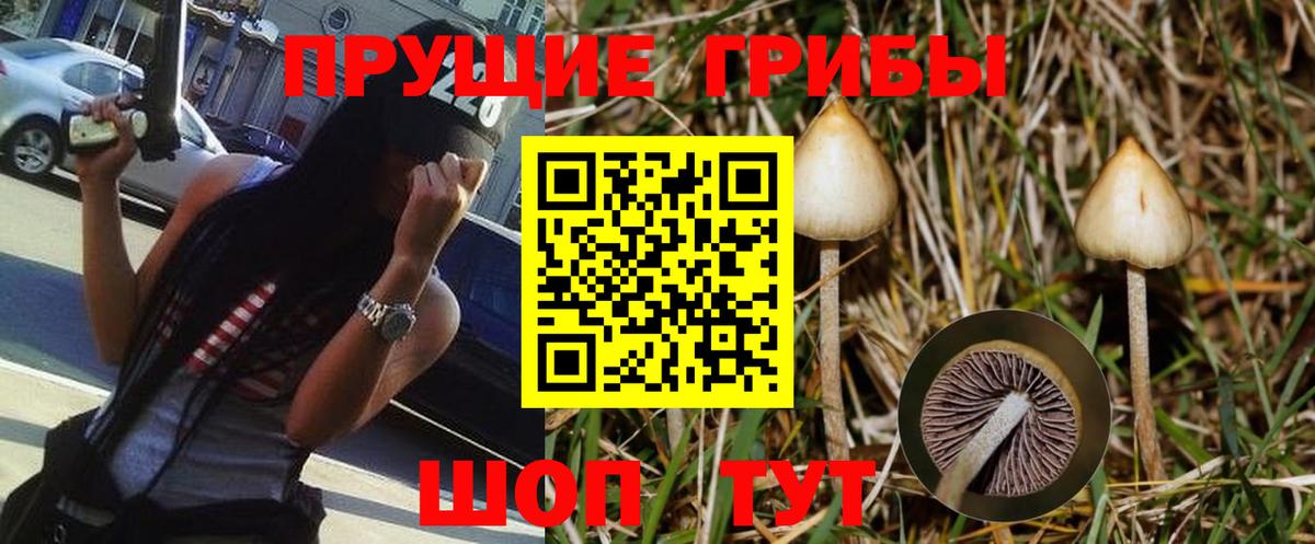 Псилоцибиновые грибы MAGIC MUSHROOMS Качканар